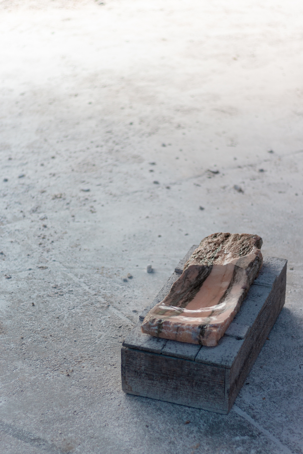 Photo by Antônio Frederico Lasalvia